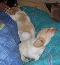 kliknutím zavřete okno