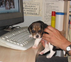 kliknutím zavřete okno