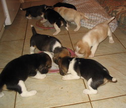 kliknutím zavřete okno