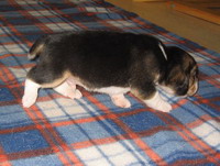 kliknutím zavřete okno