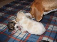 kliknutím zavřete okno