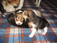 kliknutím zavřete okno