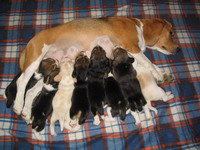 kliknutím zavřete okno