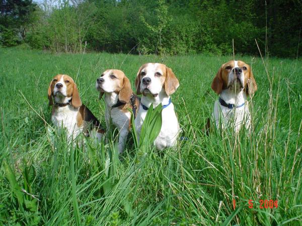 kliknutím zavřete okno