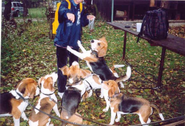 dej mi něco dobrého