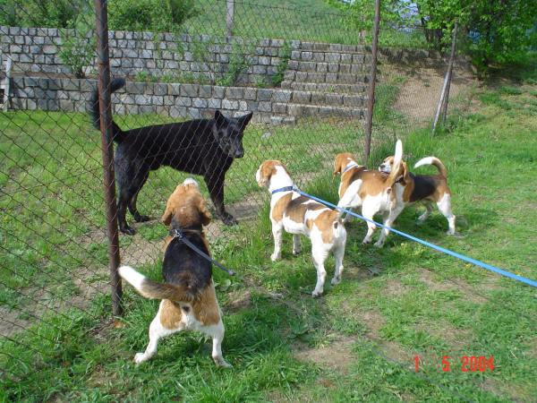 kliknutím zavřete okno