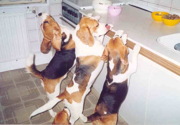 kliknutím zavřete okno