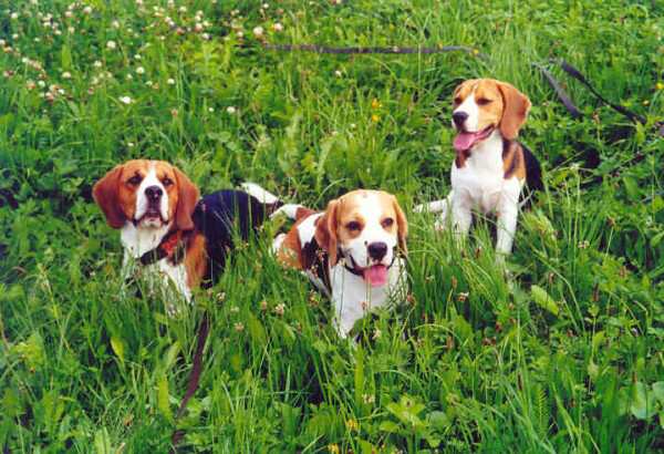 kliknutím zavřete okno