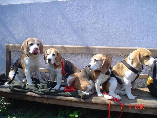 kliknutím zavřete okno