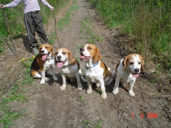 kliknutím zavřete okno