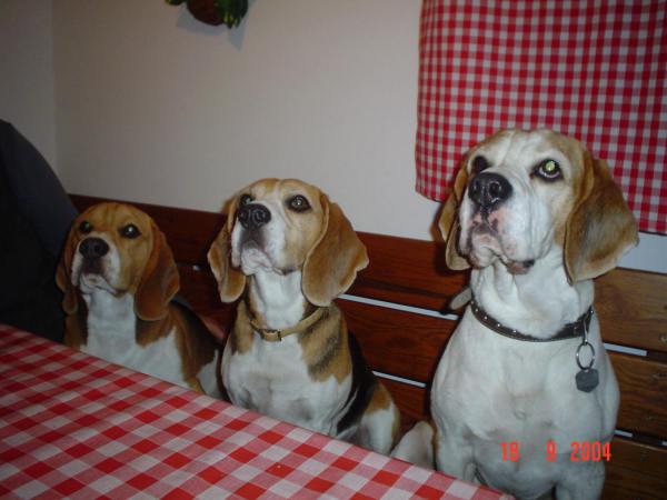 kliknutím zavřete okno