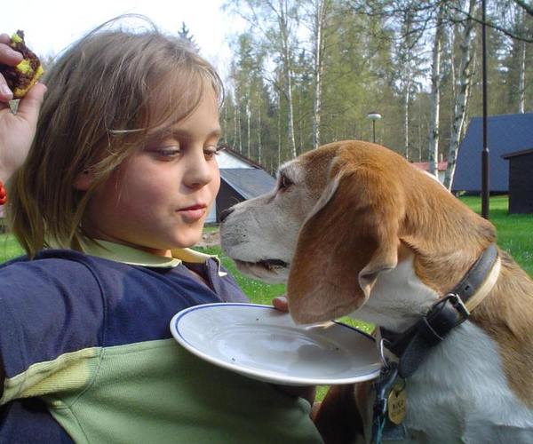 kliknutím zavřete okno