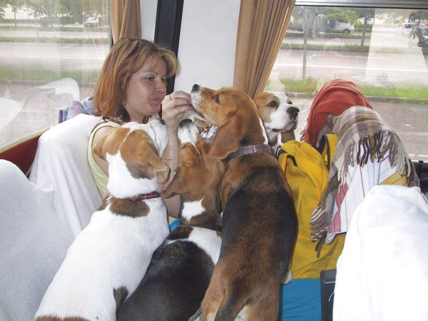 kliknutím zavřete okno