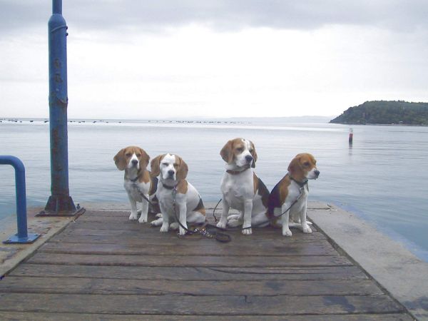 kliknutím zavřete okno