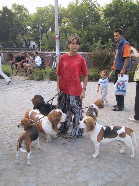 kliknutím zavřete okno