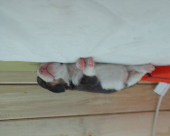 kliknutím zavřete okno