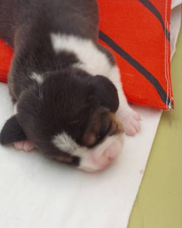 kliknutím zavřete okno