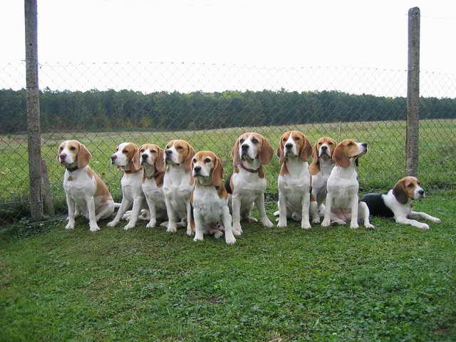 kliknutím zavřete okno