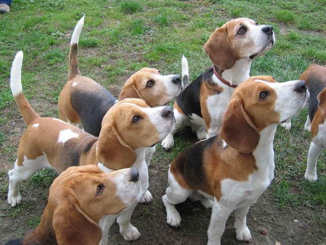 kliknutím zavřete okno