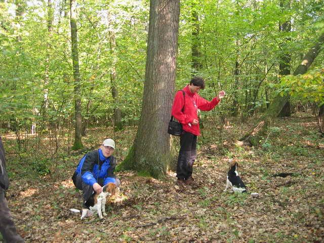 kliknutím zavřete okno
