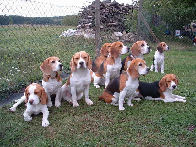 kliknutím zavřete okno
