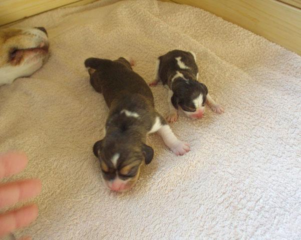 naše holky - malá a velká