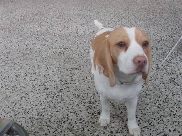 kliknutím zavřete okno