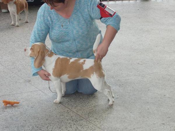 kliknutím zavřete okno