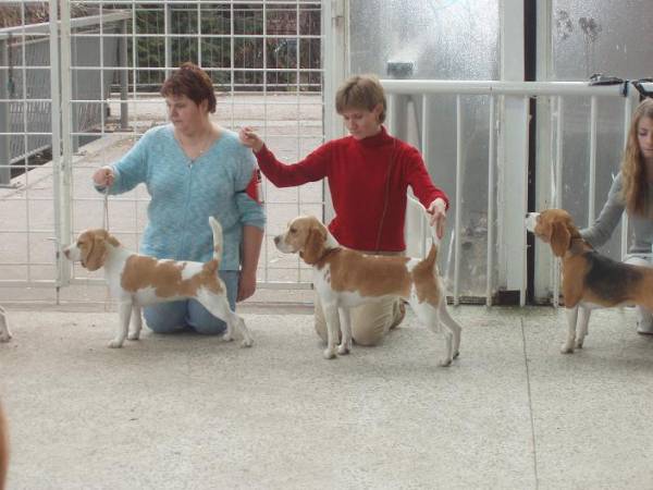 no, tak tedy, koukejte