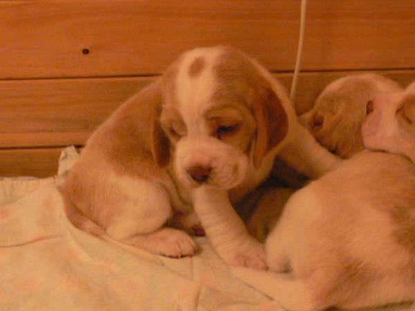 kliknutím zavřete okno