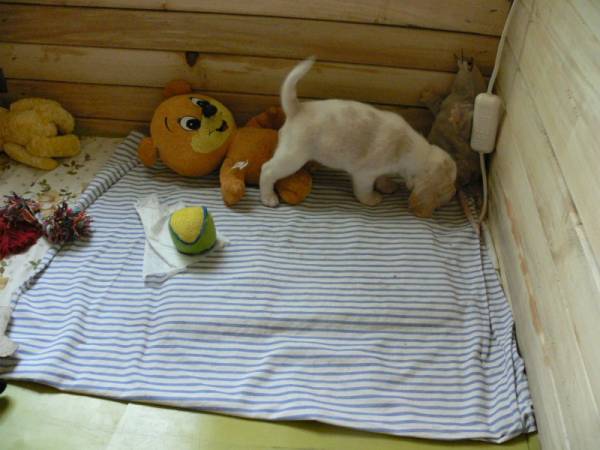 kliknutím zavřete okno