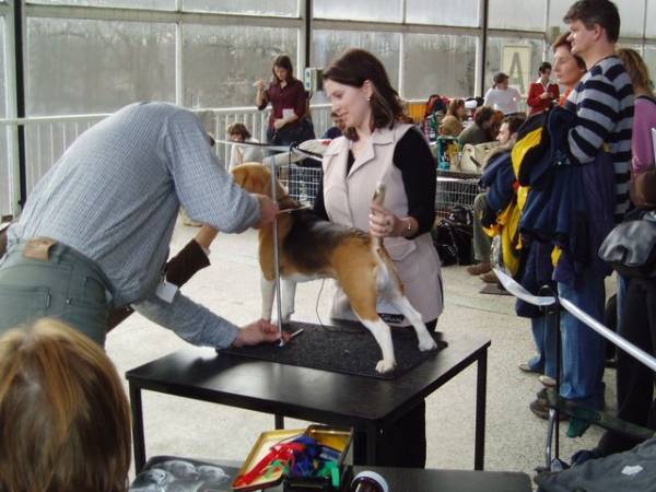 Klidně si mě změřte