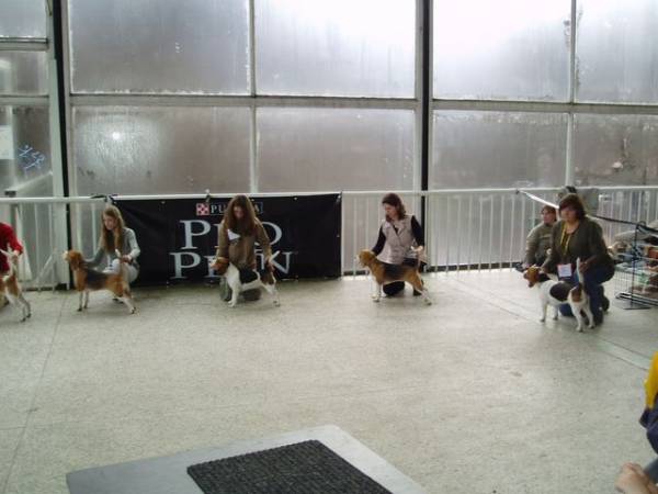 Tak jo, ještě chvilku postojím