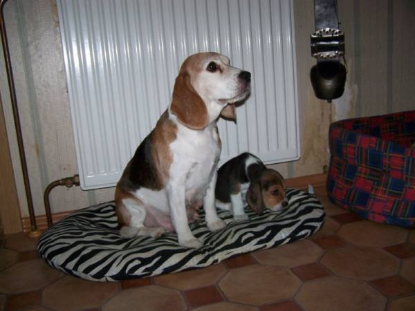 kliknutím zavřete okno