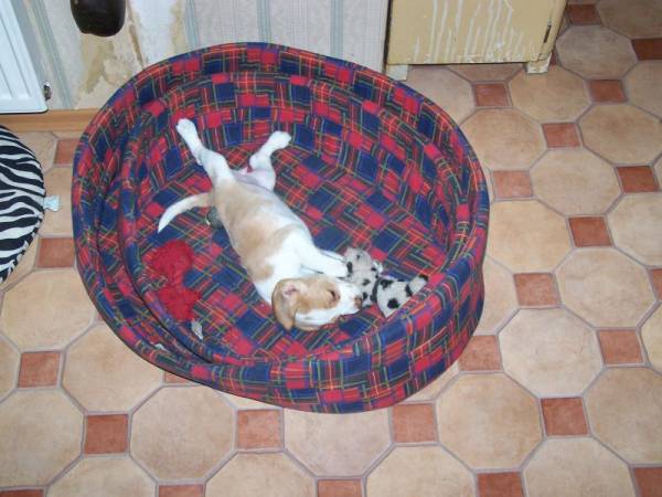 kliknutím zavřete okno