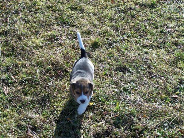 kliknutím zavřete okno