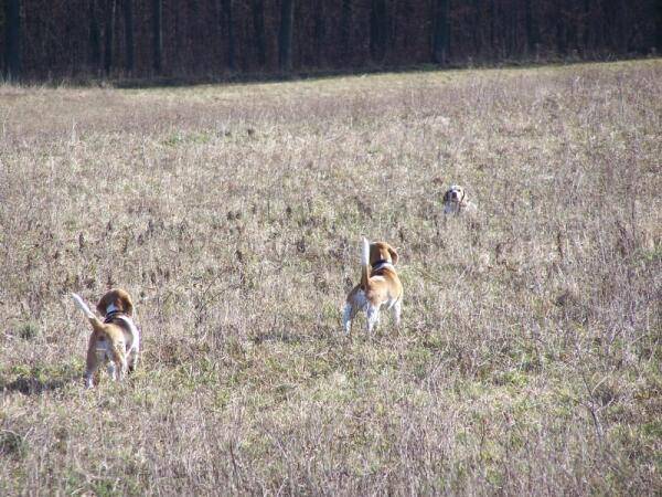 kliknutím zavřete okno