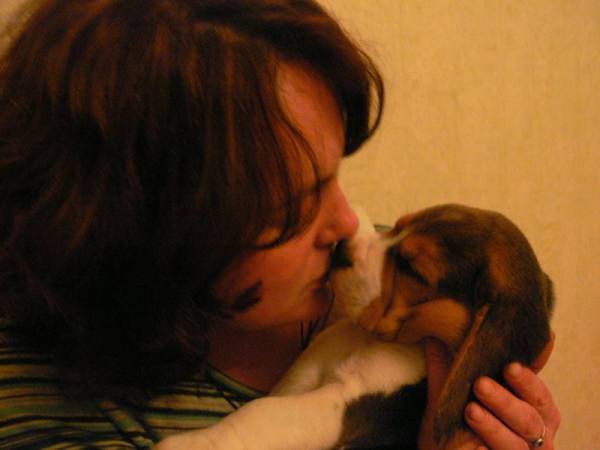 kliknutím zavřete okno