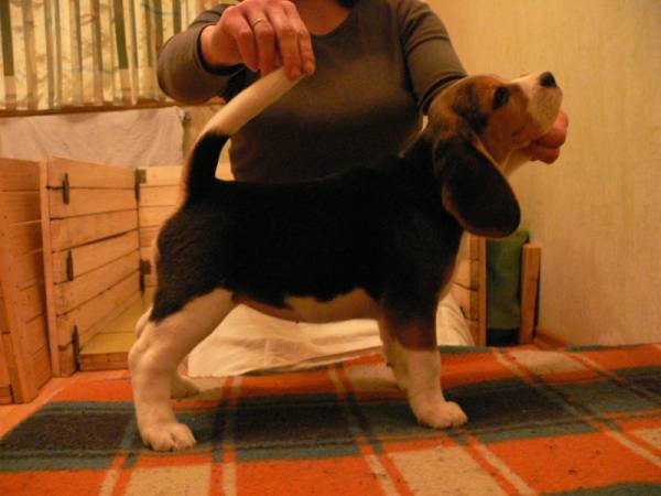 kliknutím zavřete okno