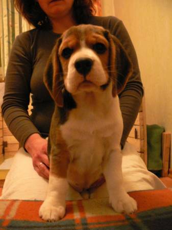 kliknutím zavřete okno