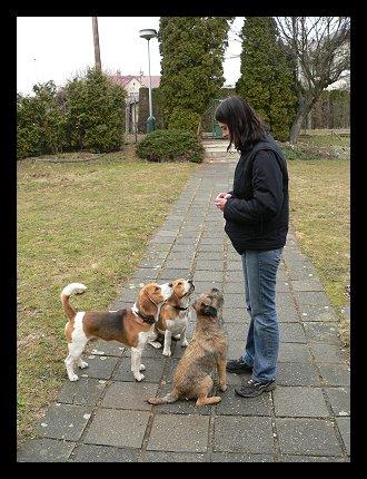 kliknutím zavřete okno