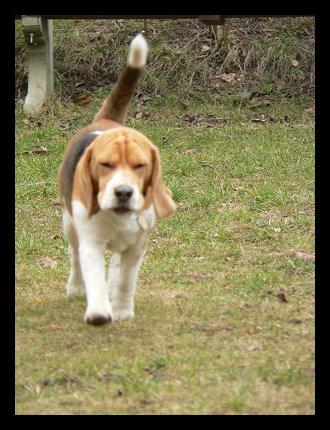 kliknutím zavřete okno