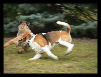 kliknutím zavřete okno