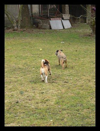 kliknutím zavřete okno