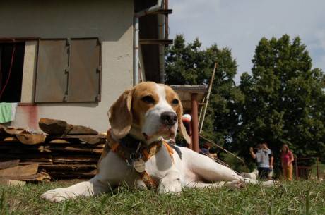kliknutím zavřete okno