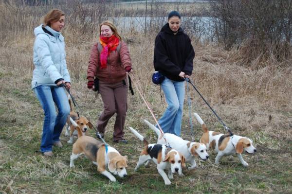 Siki, Čena, Pepušák, Crazy a Princezna