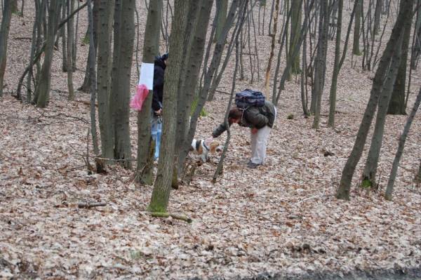 kliknutím zavřete okno