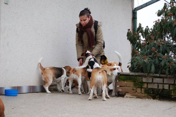 kliknutím zavřete okno