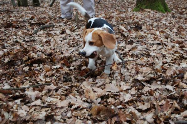 kliknutím zavřete okno
