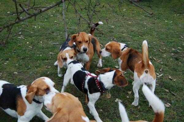 kliknutím zavřete okno